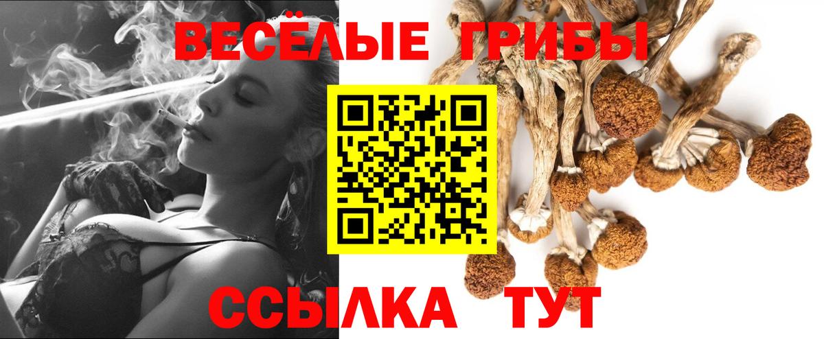 Псилоцибиновые грибы мухоморы Ухта
